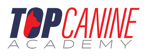 Top Canine Academy