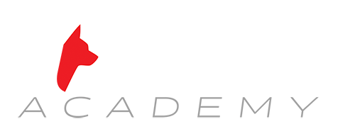 Top Canine Academy